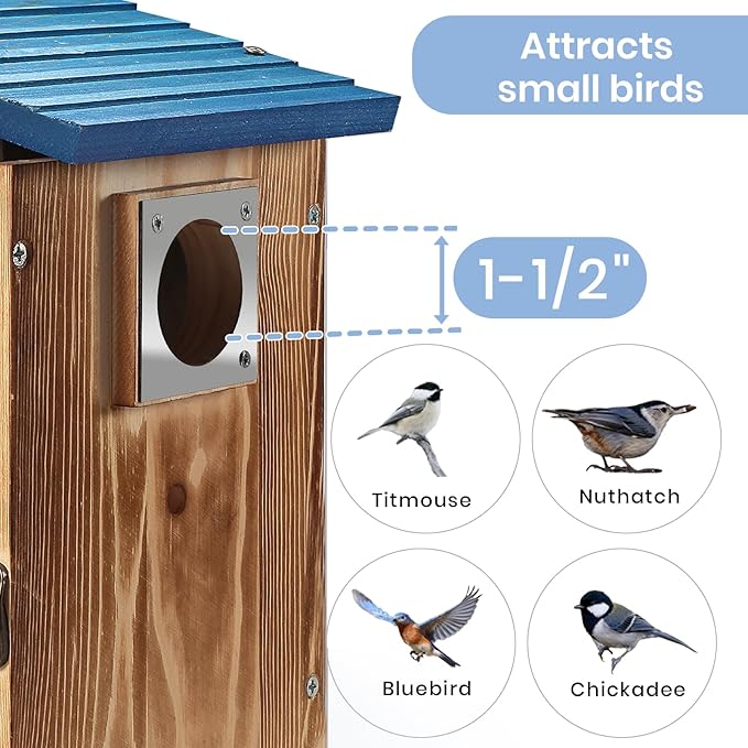 Blue Bird Houses for Outside with Gift Box - Durable Birdhouses for Outdoors with Clear View Panel & Predator Guard for Bluebird Wren Swallow Finch Chickadee Cardinal