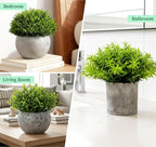 Lemonfilter Small Fake Plants, 5 Pack Mini Potted Artificial Eucalyptus Plant Greenery Plastic Fake Plants Faux Plant for Table Shelve Bathroom Kitchen Rustic Farmhouse Indoor Decor