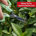 Saboten Fluorine Coated Straight Blade Trimming Scissors Green PT-1 160mm Precision Gardening Bonsai and Floral Shears Made in Japan