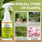 Neem Oil Spray for Plants with Peppermint Oil, Natural Plant Wash Made for Indoor and Outdoor Plants Smart Grower 16oz Easy Ready to Use Spray