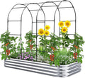 KING BIRD Raised Garden Bed with Arched Trellis Galvanized Planter Garden Box Outdoor for Gardening, Climbing Vegetables, Flowers 7.87x3.94x0.98 Ft, Silver