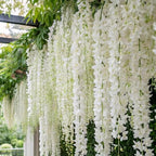 300+ Exotic Climbing Jasmine Flower Seeds for Planting Fragrant Plant Seeds Non-GMO Garden Home Jasmine Garden Balcony Climbing Flower