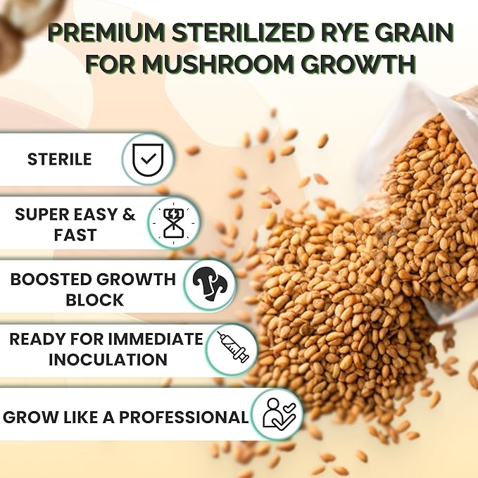 MycoHaus Mushroom Growing Kit | Sterilized Rye Grain | Magic Indoor Grow Bags for Mushrooms | Shroom Home Cultivation Magic Supplies | Without Spores | Without Injection Ports | 1 Pound (6 Pack)