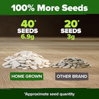 HOME GROWN Pumpkin Seeds for Planting - 5 Variety Mix - 40 Seeds - Heirloom Non GMO USA - Vegetable Garden - Edible & Jack O Lanterns - Connecticut Field Blue White Mini - Autumn Harvest