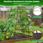 7.2FT Garden Arch Trellis for Climbing Plants, Heavy Duty 66" Wide Walk-Through Metal Arch with Netting, Wind-Resistant Vertical Garden Support for Cucumbers, Roses, Beans, Squash (33" Arch)