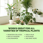 Tropical Plant Fertilizer – Liquid Plant Food for Bigger Leaves, Lush Growth & Stronger Roots, 32 oz