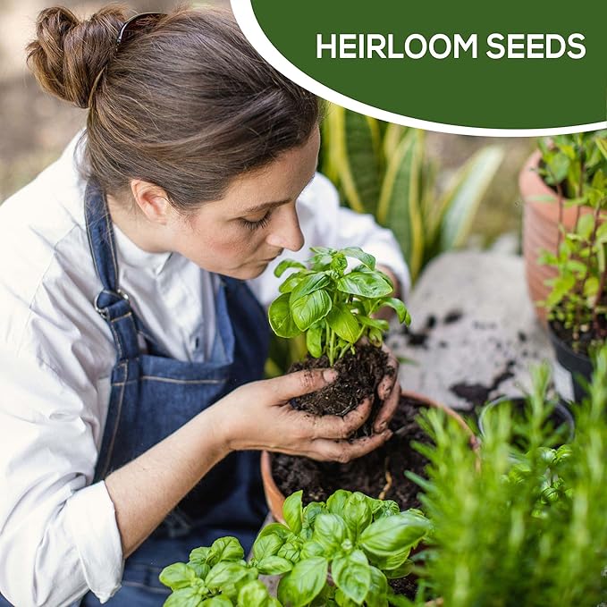 Assorted Collection of Spice Herb and Green Lettuce Seeds - Non GMO USA Grown - 34 Heirloom Varieties for Hydroponic Indoor and Outdoor Planting - Salad and Tea Seeds for Home Growing