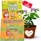 Easter Basket Stuffer – TickleMe Plant Party Favors (2 Pack) – Plant that Moves! Leaves Fold When Touched & Reopen – Kids Grow Kit with Seeds – Fun STEM Gift, Birthday Party Favor