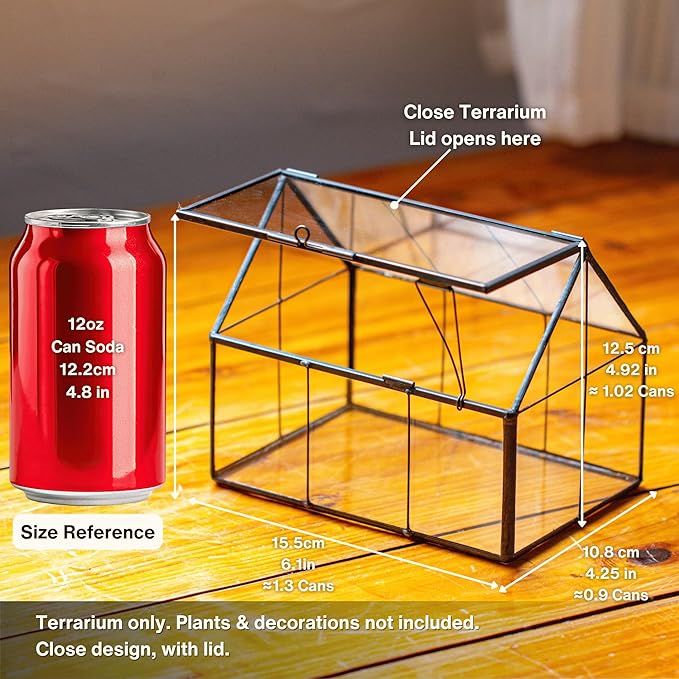NCYP Mini Glass Terrarium with Lid - 6.1" x 4.25" x 4.92" House Shape Closed Planter Pot for Small Cactus, Succulents Plant - Home Garden Office Tabletop Geometric Decor, Black (Terrarium Only)