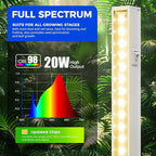 Barrina T5 Grow Lights for Indoor Plants, Full Spectrum, 4ft 160W (8 x 20W, 1000W Equivalent), Plant Growing Lamps, Plant Lights for Indoor Plants, Greenhouse, Plug and Play, Yellow 8-Pack