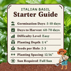 Seedboy 250 Organic Basil Seeds for Planting Indoor and Outdoor, Non-GMO and USDA Certified Herb Seed Packet for Hydroponic Garden Indoor or Planting Outdoors (Genovese Basil)