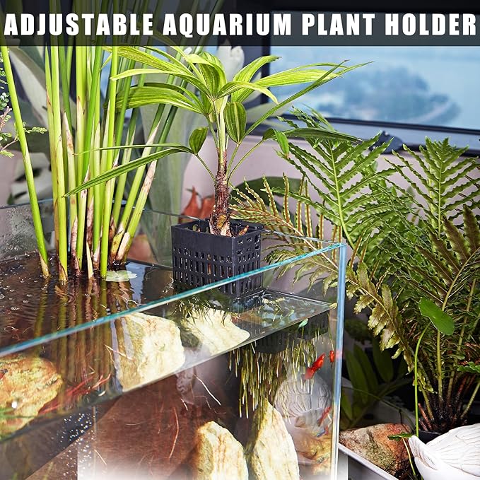 4pcs Upgraded Adjustable Aquarium Plant Holder，Fish Tank Plants Holder,Fish Tank Aquaponics Plant Cultivation and Aquarium Landscape Decoration with Hooks and Suction Cup (Black)