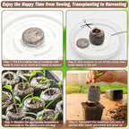 ZeeDix 50Pcs 30mm Peat Pellets for Seedlings, Seed Starter Pods Seed Starting Plugs Soil, Compressed Nutrient Block Potting Soil Discs Pellet for Planting Herbs Flowers Vegetables