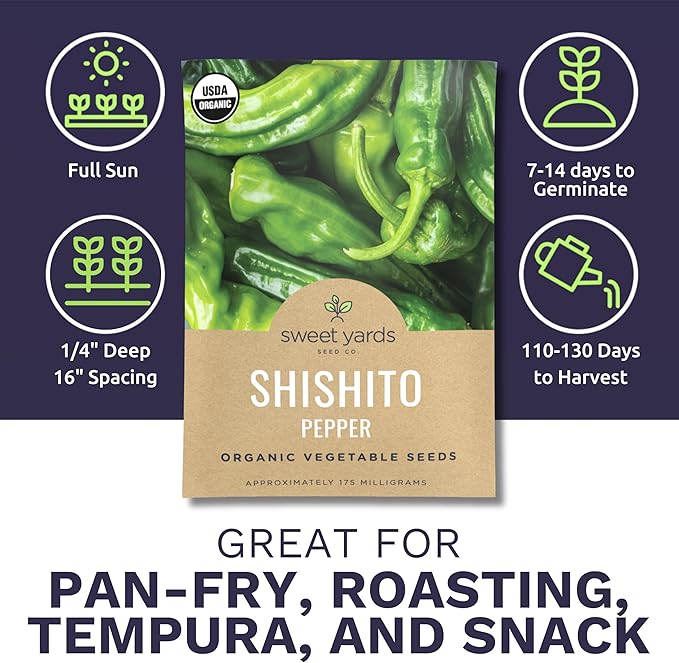 Organic Shishito Pepper Seeds – Two Seed Packets! – Approx 30 Open Pollinated Non-GMO Seeds Per Packet (60 Total) – Sweet Yards Seed Co.