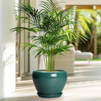 8 Inch Plant Pot - Ceramic Planter for Indoor Outdoor Plants, Glaze Modern Round Ceramic Flower Pot with Drainage Hole and Saucer, Gifts for Plant Lover, Home Office Patio Decor, Green
