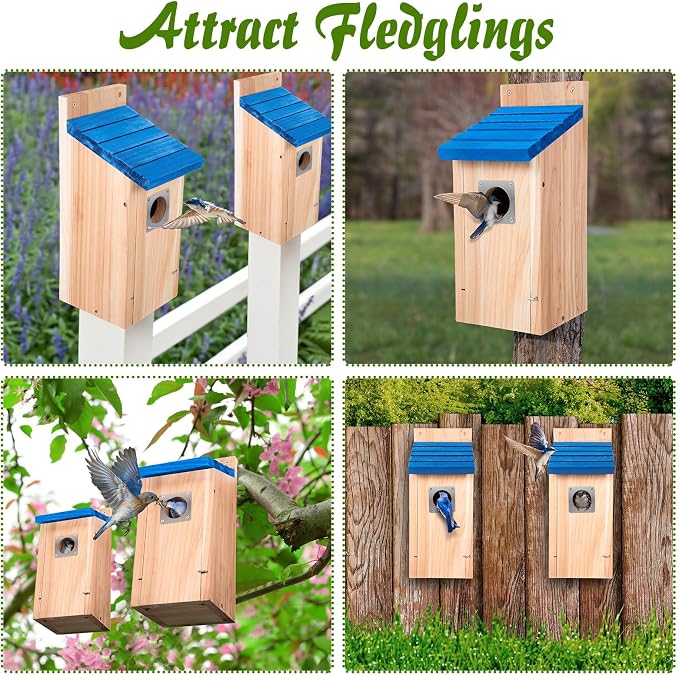 Dreyoo 2 Pack Bluebird Box Houses for Outside,1-1/2'' Entrance Hole Wooden Bird Houses with Metal Guard, Secure Latch,Fledgling Grooves,Air Vents for Bluebird Wren Swallow(Blue Roof, Wood Body)
