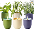Modern Sprout - 2-in-1 Soy Candle & Planter - 3-Pack Indoor Set (Violet Hour, in The Weeds, Golden Moments) 6 Oz Scented Candles with Lavender, Sage & Mint Seeds – 38–40 Hr Burn Each