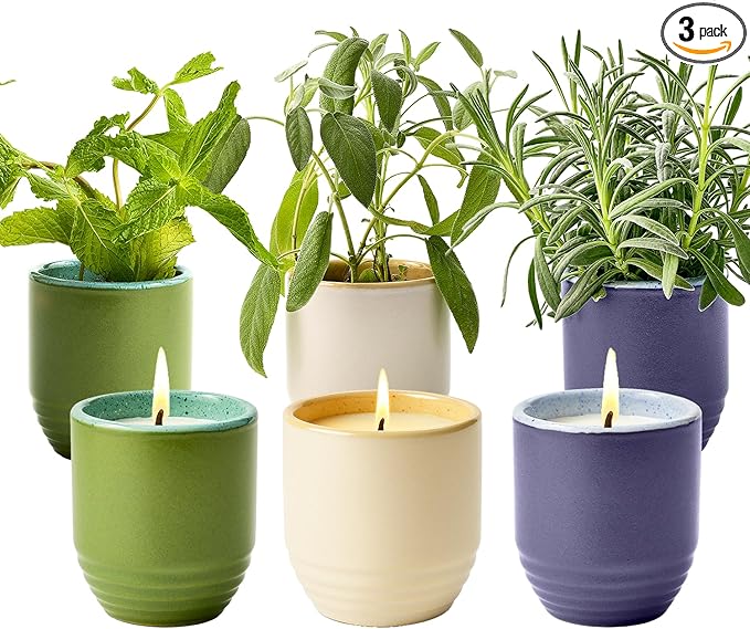 Modern Sprout - 2-in-1 Soy Candle & Planter - 3-Pack Indoor Set (Violet Hour, in The Weeds, Golden Moments) 6 Oz Scented Candles with Lavender, Sage & Mint Seeds – 38–40 Hr Burn Each