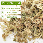 Legigo 7OZ Premium Sphagnum Moss for Plants- 8QT Natural Succulent Carnivorous Plant Moss Dried, Long Fiber Orchid Moss for Orchid Repotting Succulent Sarracenia Potted Plants Gardening and Reptiles