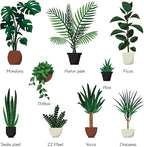 Indoor Plant Food | All-purpose House Plant Fertilizer | Liquid Common Houseplant Fertilizers for Potted Planting Soil | by Aquatic Arts