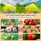 bseah Grow Light Plant Light Indoor Plants, Full Spectrum Clip Plant Lamp, 10-Level Dimmable, Auto ON & Off Timer (2 Pack)