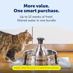 PetSafe Stainless Multi-Pet Fountain with Carbon Filters Great for Multiple Pet Households Customizable Stream Options Scratch and Rust Resistant 128 Oz Water Capacity Fresh, Filtered Water