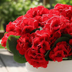 CEWOR 12 Bundles Artificial Geranium Flowers for Outdoor Indoor, Fake Silk Geranium Red Flowers, Faux Flower for Valentine's Day Decor Garden Front Door Porch Planter Patio Home Decor