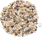 Rocks for Plants. Mixed Color Decorative Pebbles. 1/5 Inch 2 lbs. for Garden, Landscaping, Indoor, Vase fillers, Crafting, Succulents, pots, Plants (Mini (0.2 Inch), Mixed Color, 2)