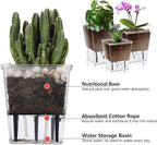 Self Watering Pots Set, 3 Pack 5 Inch for Indoor Plants, Clear Nursery Planter With Deep Reservoir for Spider Plant, Orchid, African Violet