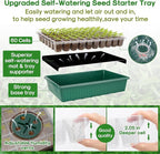 BlumWay 120-Cell Self-Watering Seed Starter Tray with Grow Light, 1-24H Timer, Seed Starter Kit with 4.02" Humidity Dome, Seedling Tray for Indoor Plant Starter, Plant Germination Trays-Green