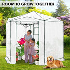 EAGLE PEAK 8.5x8.5 Portable Walk in Greenhouse, Pop Up Indoor Outdoor Greenhouse, Green House Kit with Zippered Roll-Up Doors and Windows, Hexagon Design, PE Cover, Clear/White
