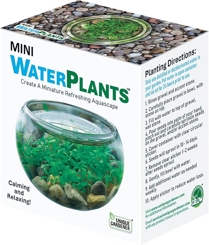 Mini WaterPlants - Create Your Own Soothing Aquasacape Starter Kit, Indoor Plant Glass Globe Terrariums with Complete Supplies, Just Add Water, 3-Pack