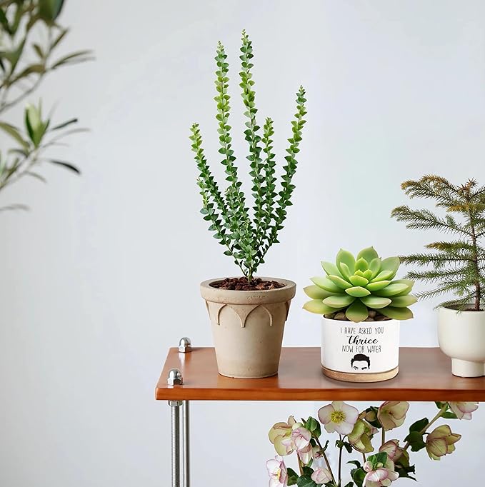Thrice Now for Water Ceramic Succulent Planter Cactus Pots, Funny Planter Pots Gifts for Plant Lovers ﻿