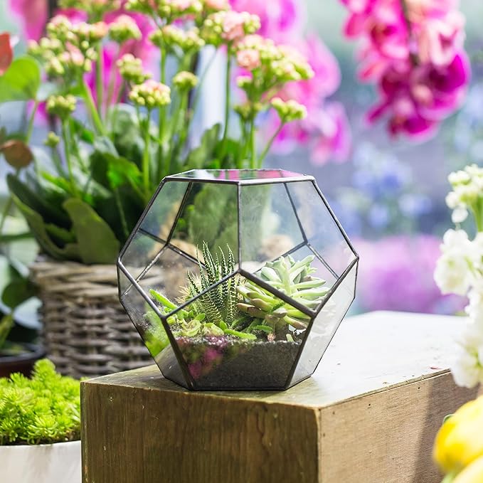 NCYP Small No Door Terrarium Planter - 6.8" x 6.8" x 5.9" Open Geometric Glass Terrarium Pot for Mini Succulents, Small Cactus - Home Tabletop Miniature Decor, Black (No Plants)
