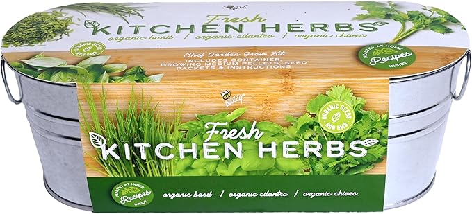 BUZZY Seeds Organic Windowsill Grow Kit, Copper Culinary Herb Garden with Basil, Cilantro and Chives, Indoor Starter Set with Seed Packets and Growing Medium, Holiday Present, Gardening Gift