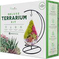 Creations by Nathalie DIY 7" DIY Teardrop Terrarium Kit - Build Your Own Glass Terrarium for Adults & Teens with Moss, Crystals, Tools & Decor - Handcrafted in the USA (Live Plant Included)
