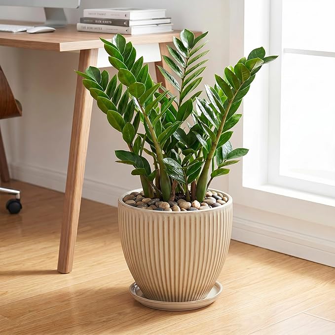 Ceramic Planter, 10 Inch Plant Pot for Large Indoor Plants, Decorative Planters with Drainage Hole and Saucer, Round Flower Pot, Modern Planter, Home Garden Decor, Beige