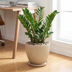 Ceramic Planter, 10 Inch Plant Pot for Large Indoor Plants, Decorative Planters with Drainage Hole and Saucer, Round Flower Pot, Modern Planter, Home Garden Decor, Beige