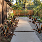 TOMBABY Enlarge Thickened Wind Resistant Metal Agave Garden Art Country Garden Sculpture Statue Outdoor Decoration Agave Metal Plant Courtyard Lawn Ornament Gift (1, 12 Leaves Black)