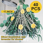 5 Kinds Mixed PCS Dried Eucalyptus & Lavender Flowers Bundle for Shower, 40 PCS 15''-17''Natural Real Fresh Preserved Eucalyptus Leaves and Lemon Shower Hanging Plants, Home Bathroom Decor, Fragrance