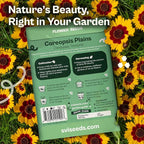 SVI 2500 Plains Coreopsis Seeds (Coreopsis Tinctoria) - Golden Tickseed, Yellow-Red Blooms, Annual Wildflowers, Heirloom Seed in Seed Packets - Flower Seeds for Outdoor Garden, Meadows, Flowers Beds