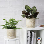 6 Inch Indoor Plant Pots with Drainage Holes and Saucers, Ceramic Planter for Plants, Flower Pot - Set of 2