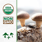 Back to the Roots Organic Shiitake Mushroom Kit; Great Gift; Easy for Beginners, For Indoor Growing (Start Growing Right Away)