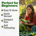 HOME GROWN Persian Cucumber Seeds 50+ Heirloom Non-GMO, Beit Alpha Variety, High Germination, Sweet Thin Skin, Burpless Snacking Cucumbers, Fast Growing, Indoor Outdoor Garden Crop (Cucumis sativus)