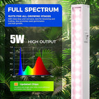 Barrina T5 Grow Lights, Full Spectrum Sunlight for Indoor Plants, 1ft Plant Light for Indoor Growing, LED Grow Light Bulbs, T5 Grow Light Strip, Plug and Play, Pinkish White, 8-Pack