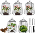 18.5" x 13" Large Plant Protection Cage, 5 Pcs Chicken Wire Cloche, Metal Protectors for Garden Plants, Protecting Fruits and Seedlings from Rabbits, Squirrels and Other Animals
