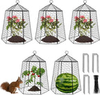 18.5" x 13" Large Plant Protection Cage, 5 Pcs Chicken Wire Cloche, Metal Protectors for Garden Plants, Protecting Fruits and Seedlings from Rabbits, Squirrels and Other Animals