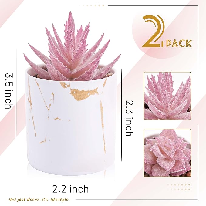 Der Rose Set of 2 Succulents Plants Artificial Mini Fake Succulents Plants for Office Desk Accessories for Women Pink Home Vanity Decor