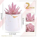 Der Rose Set of 2 Succulents Plants Artificial Mini Fake Succulents Plants for Office Desk Accessories for Women Pink Home Vanity Decor
