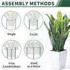 10 Pack Peony Cages and Supports, 10" (W) x 16"(H) Plant Support, Heavy-Duty Metal Plant Support Stakes, Plant Stakes for Outdoor & Indoor Plants, Perfect for Flowers and Vegetable